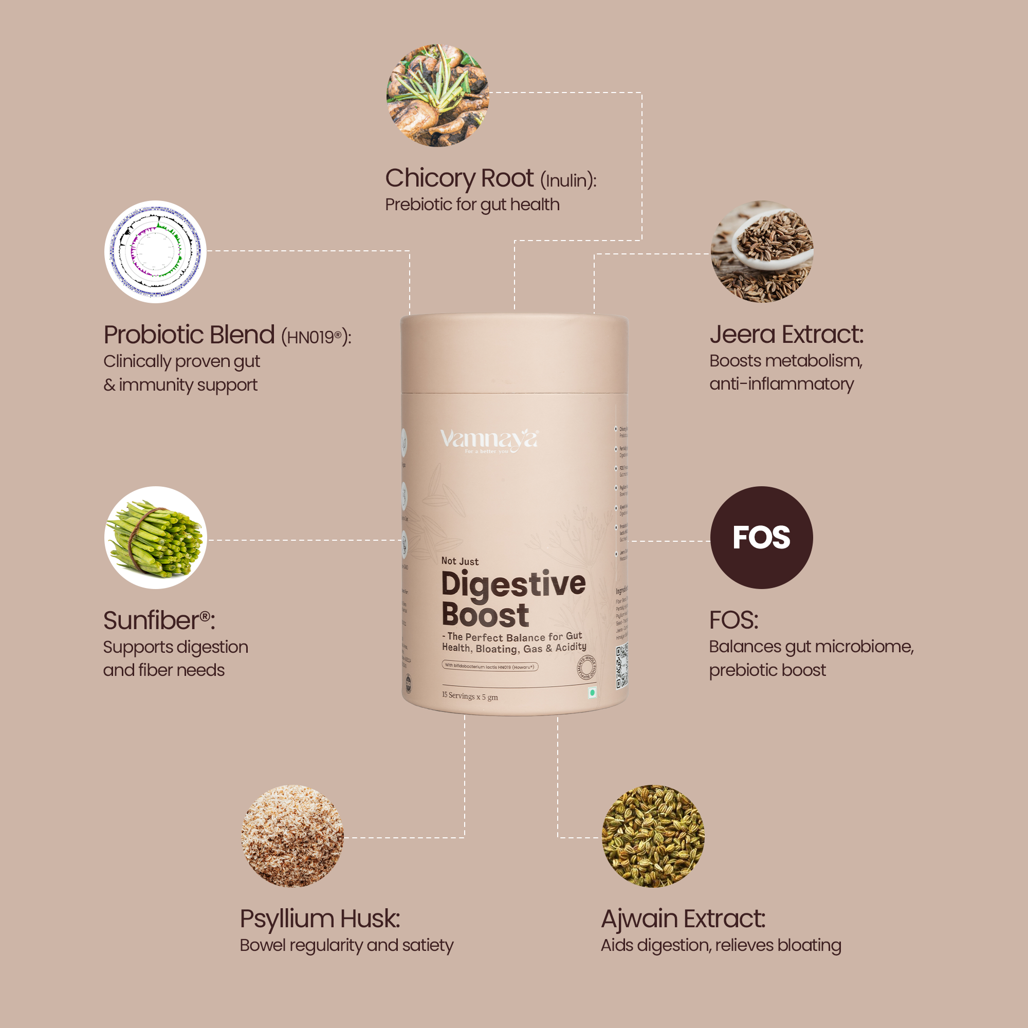 Digestive Boost | With Isabgol, Ajwain, Jeera, Prebiotic & Probiotic