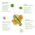 Green Coffee Blend | With Prebiotic Sunfiber®, L-Theanine, Apple Cider Vinegar | Lemon & Tulsi