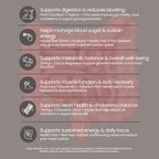 Functional Superseed Mix Powder | With Chia Seeds, Sunflower Seeds, Flax Seeds, Sesame Seeds, Isabgol & Prebiotic